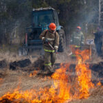 Особый противопожарный режим могут ввести на территории Новосибирской области
