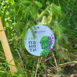 В седьмой раз жителей Новосибирской области объединит акция «Сад памяти»