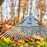 Настоящий марафон благоустройства и чистоты решили провести в Татарске