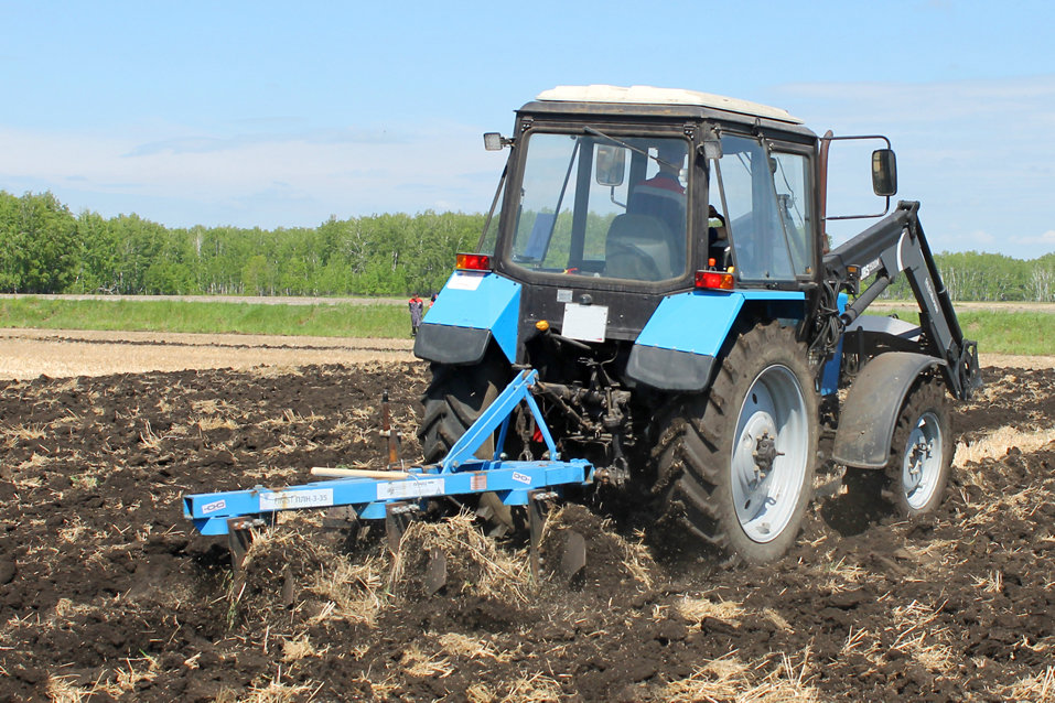 Гранты на открытие бизнеса могут получить в Новосибирской области участники СВО