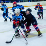 Юные хоккеисты из двух регионов разыграли медали соревнований в Татарске