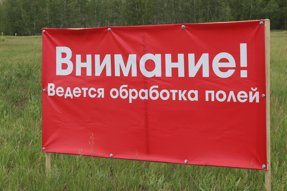 Обработка полей