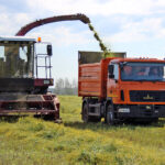 Отгрузку дизельного топлива в Новосибирской области проводят по особому реестру